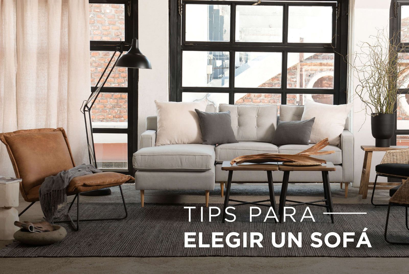 Cómo elegir el Sofá perfecto y decorarlo con estilo