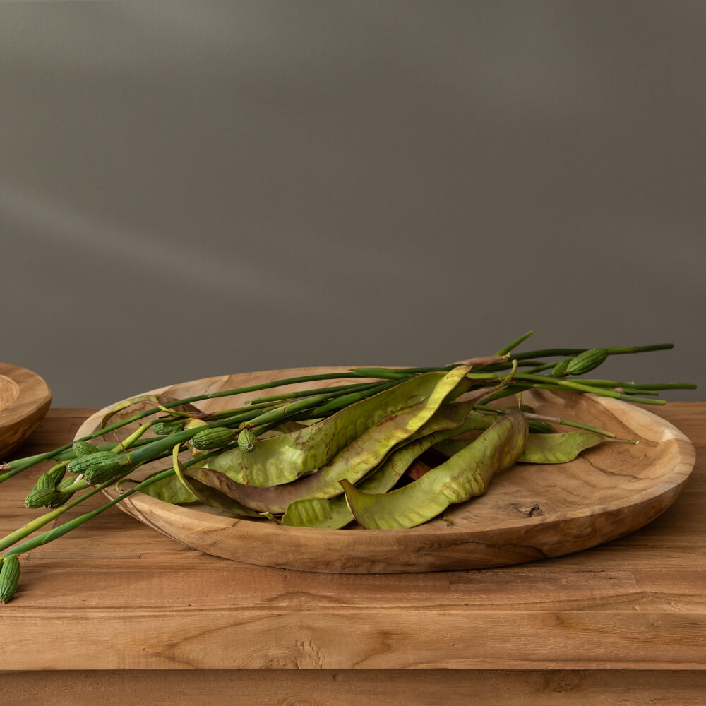 Bandeja Teca 45x35cm