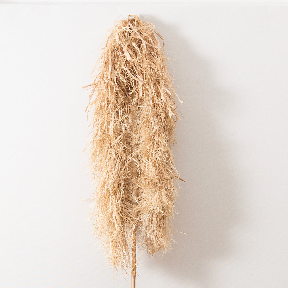Hoja de Rafia