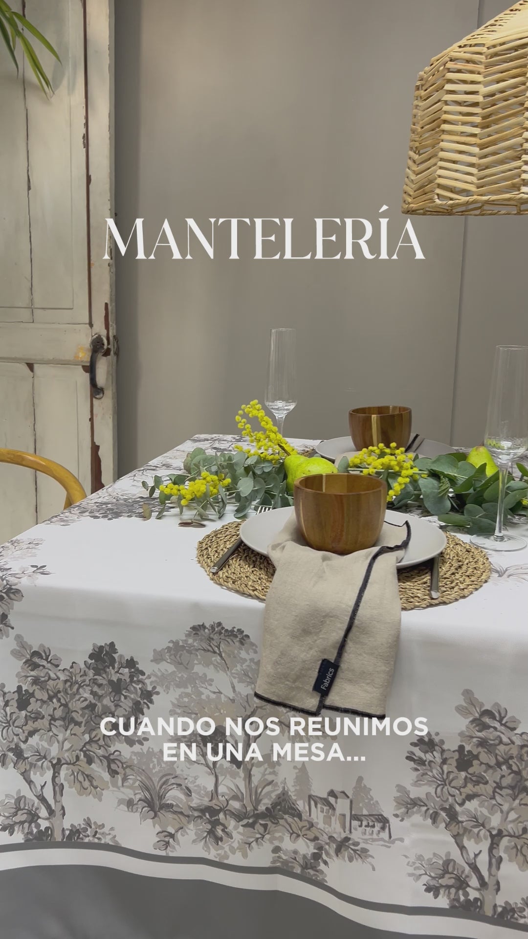 Cargar vídeo: Mantel Antimanchas Morris