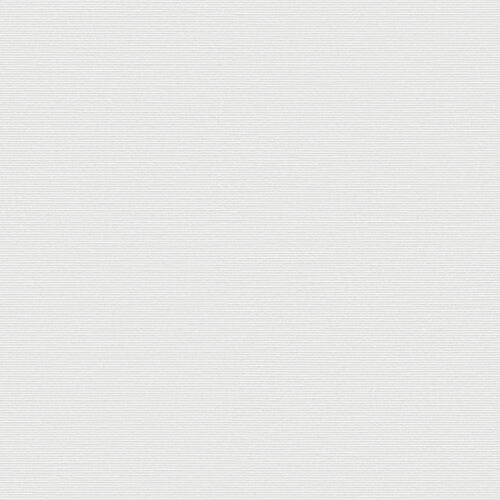 Cortina Roller Translúcida Esvedra Blanco