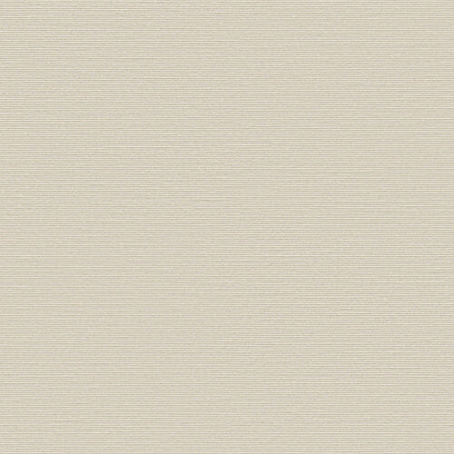 Cortina Roller Translúcida Esvedra Beige