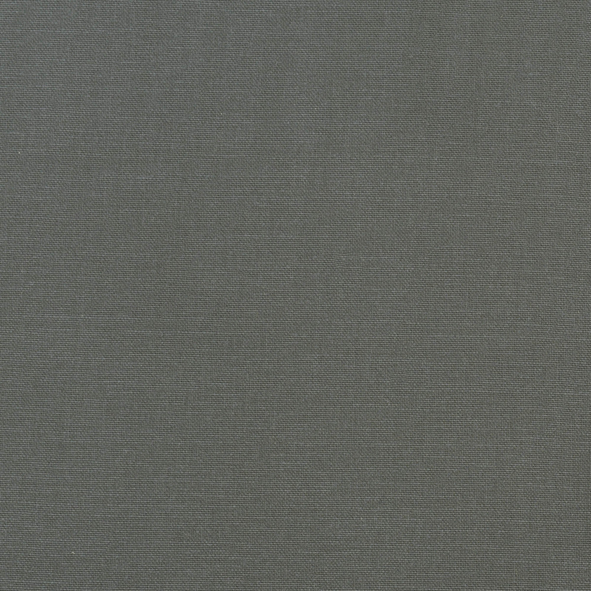 Algodón Simple Tahiti Marengo