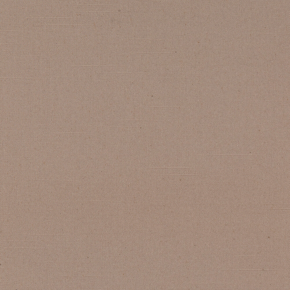 Algodón Simple Cotone Visón