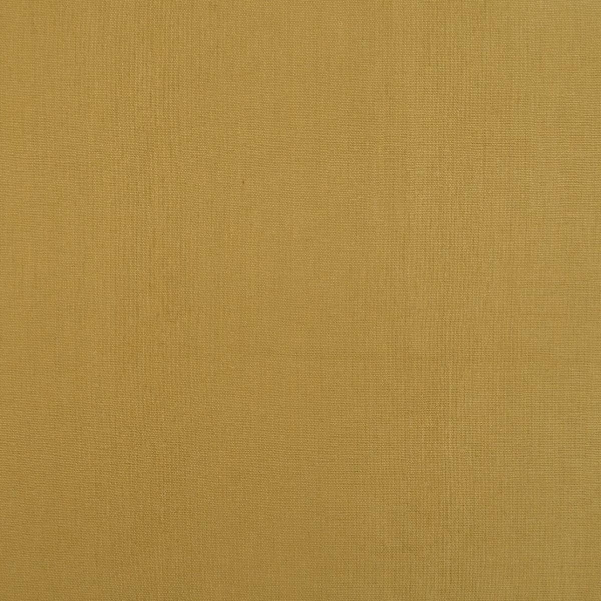 Lino Florencia Mostaza