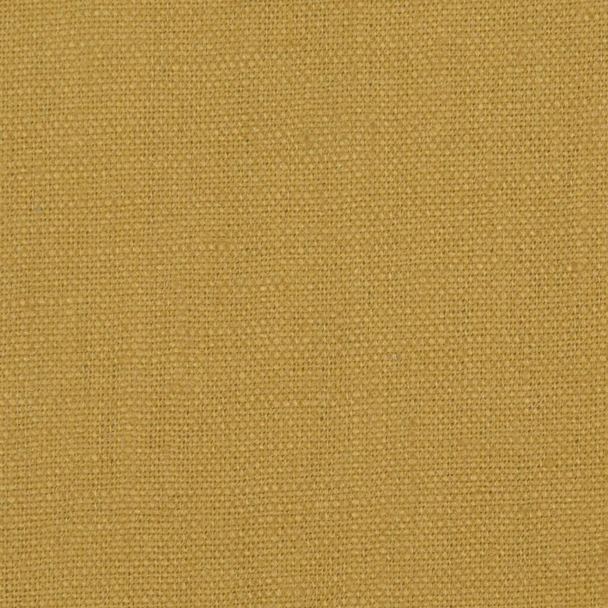 Lino Florencia Mostaza