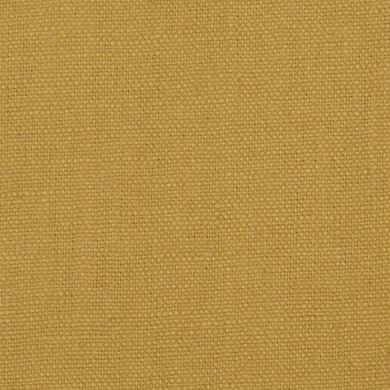 Lino Florencia Mostaza