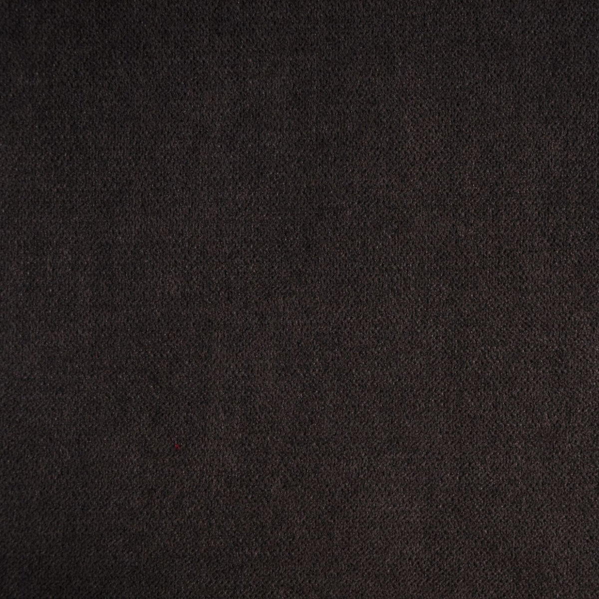 Velvet Dresde Chocolate