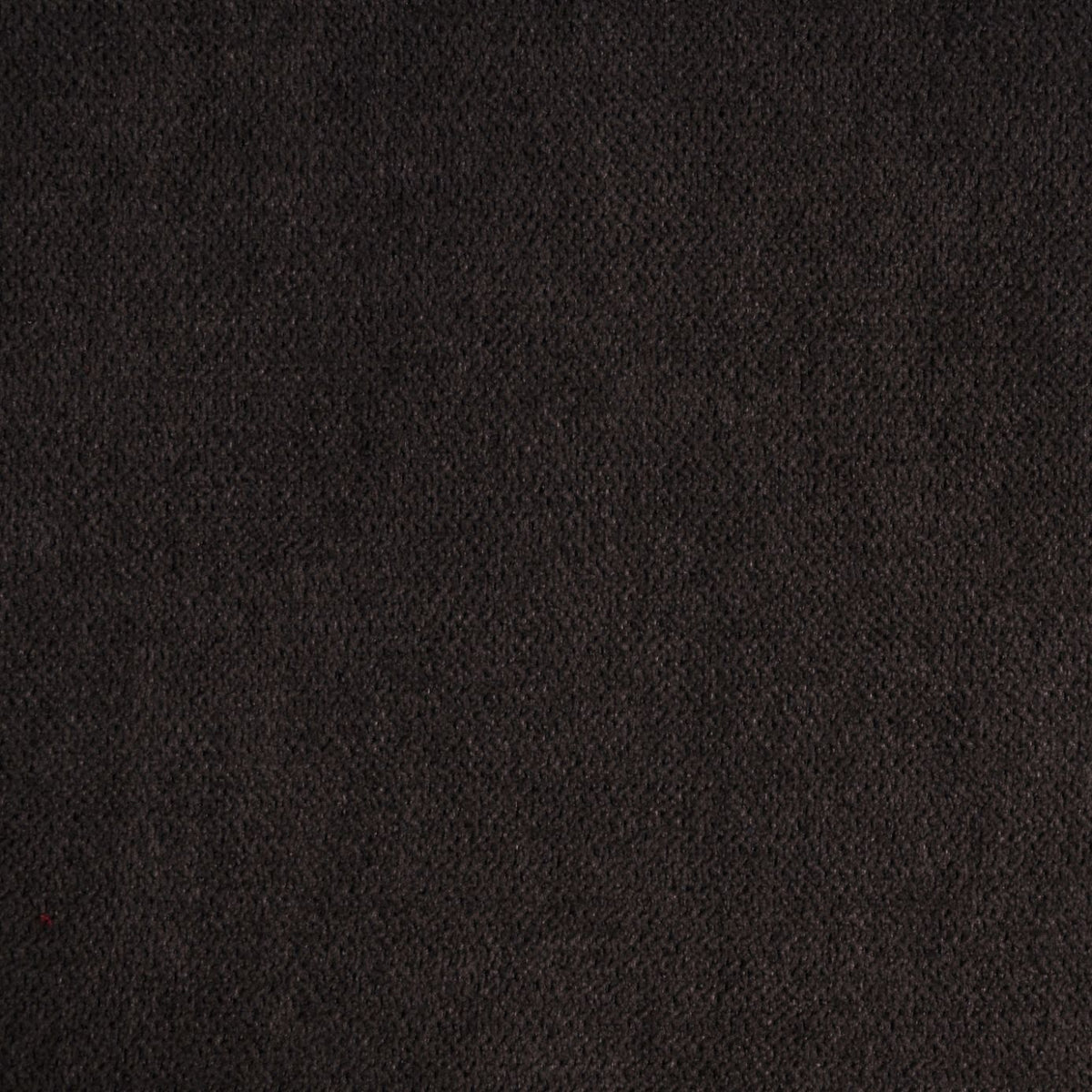 Velvet Dresde Chocolate